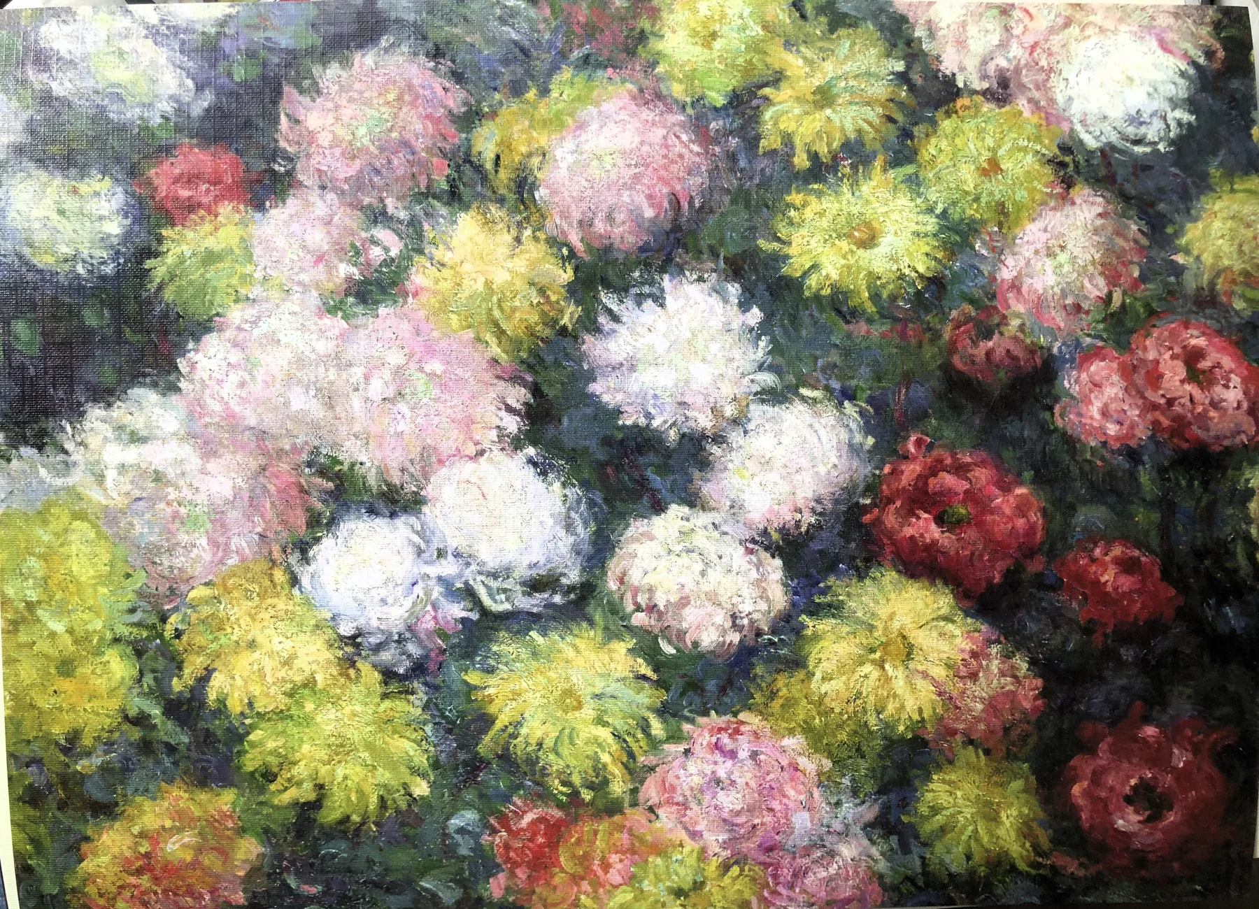 CHRYSANTHEMUMS