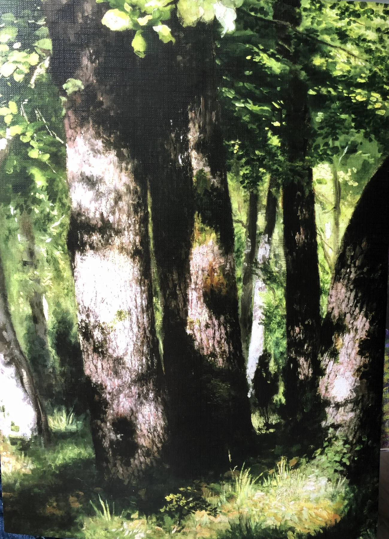 IN THE FOREST OF FONTAINEBLEAU