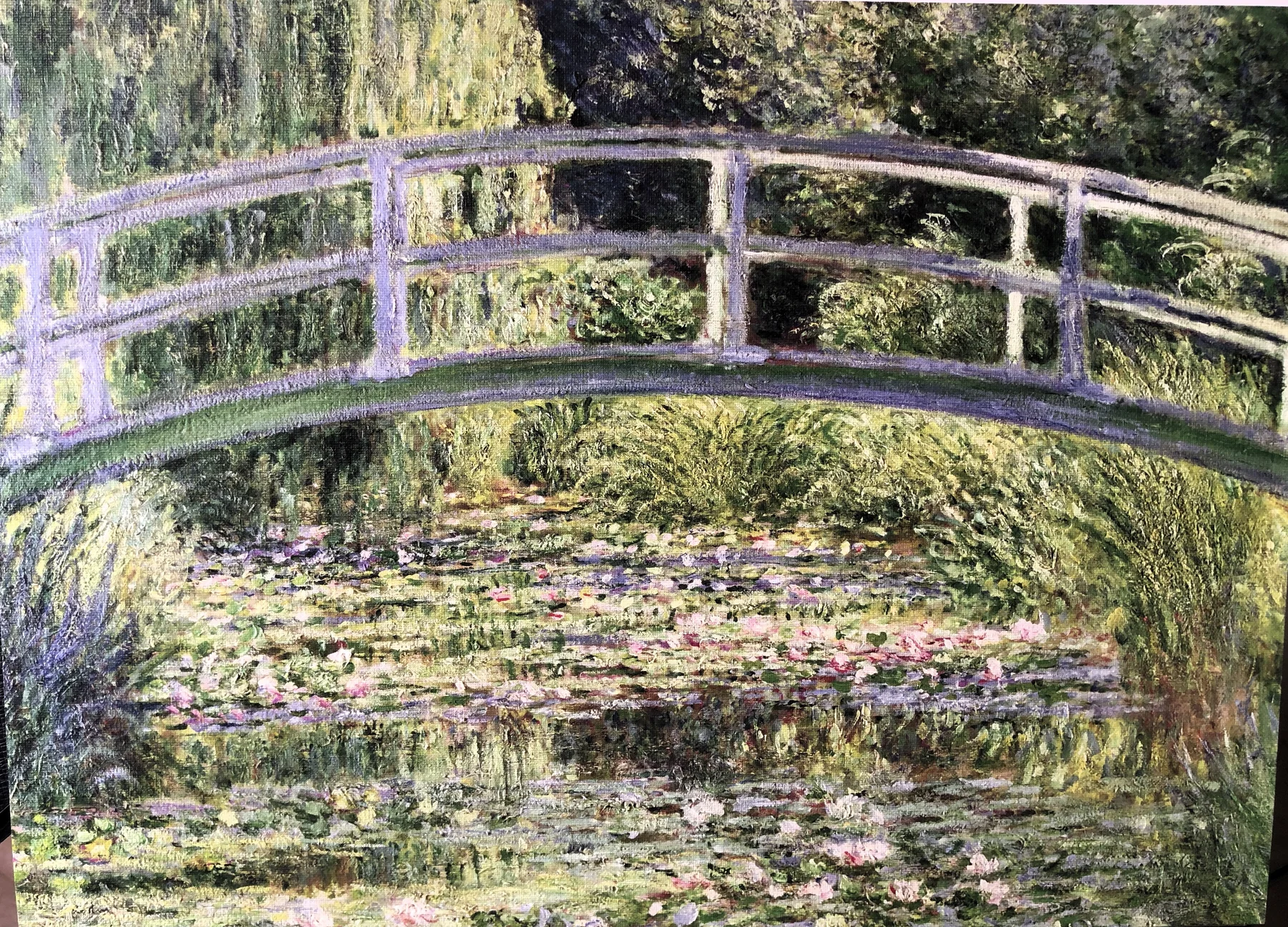 THE WATER-LILY POND