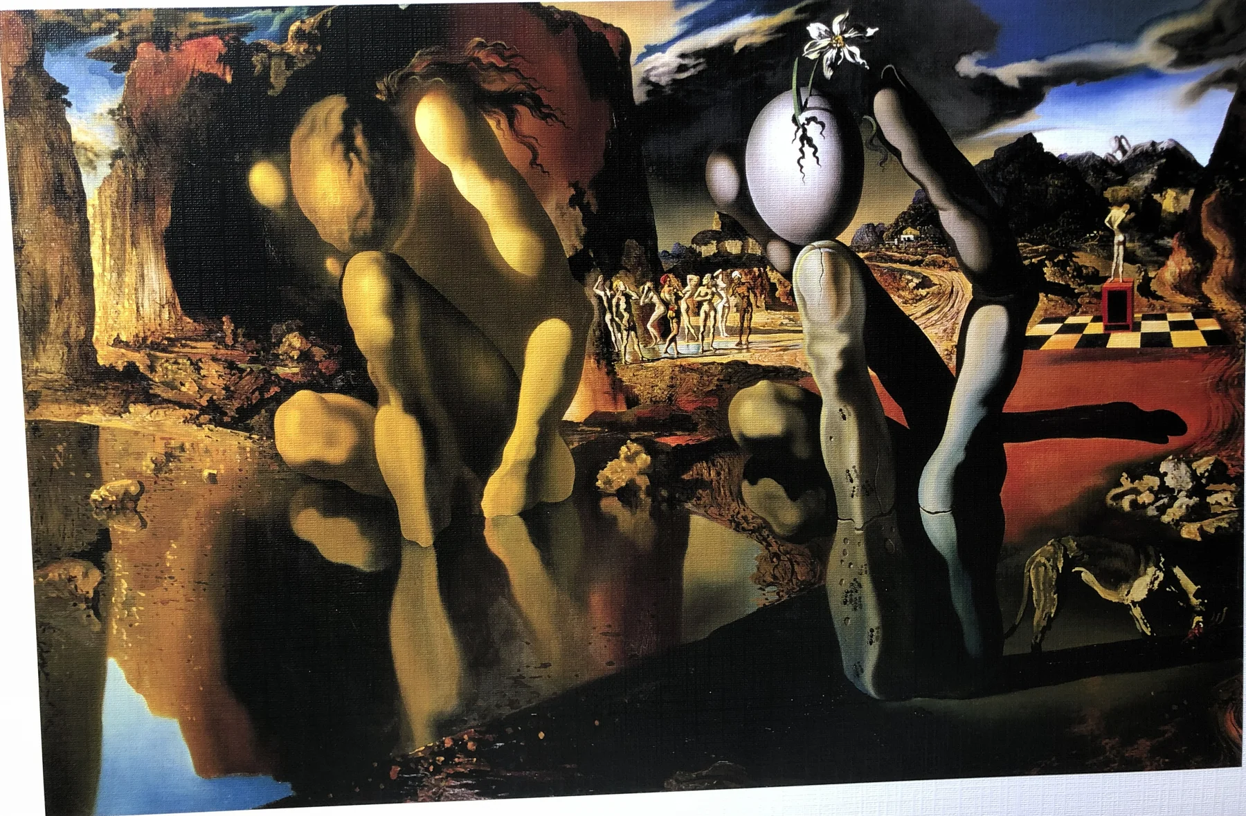 METAMORPHOSIS OF NARCISSUS
