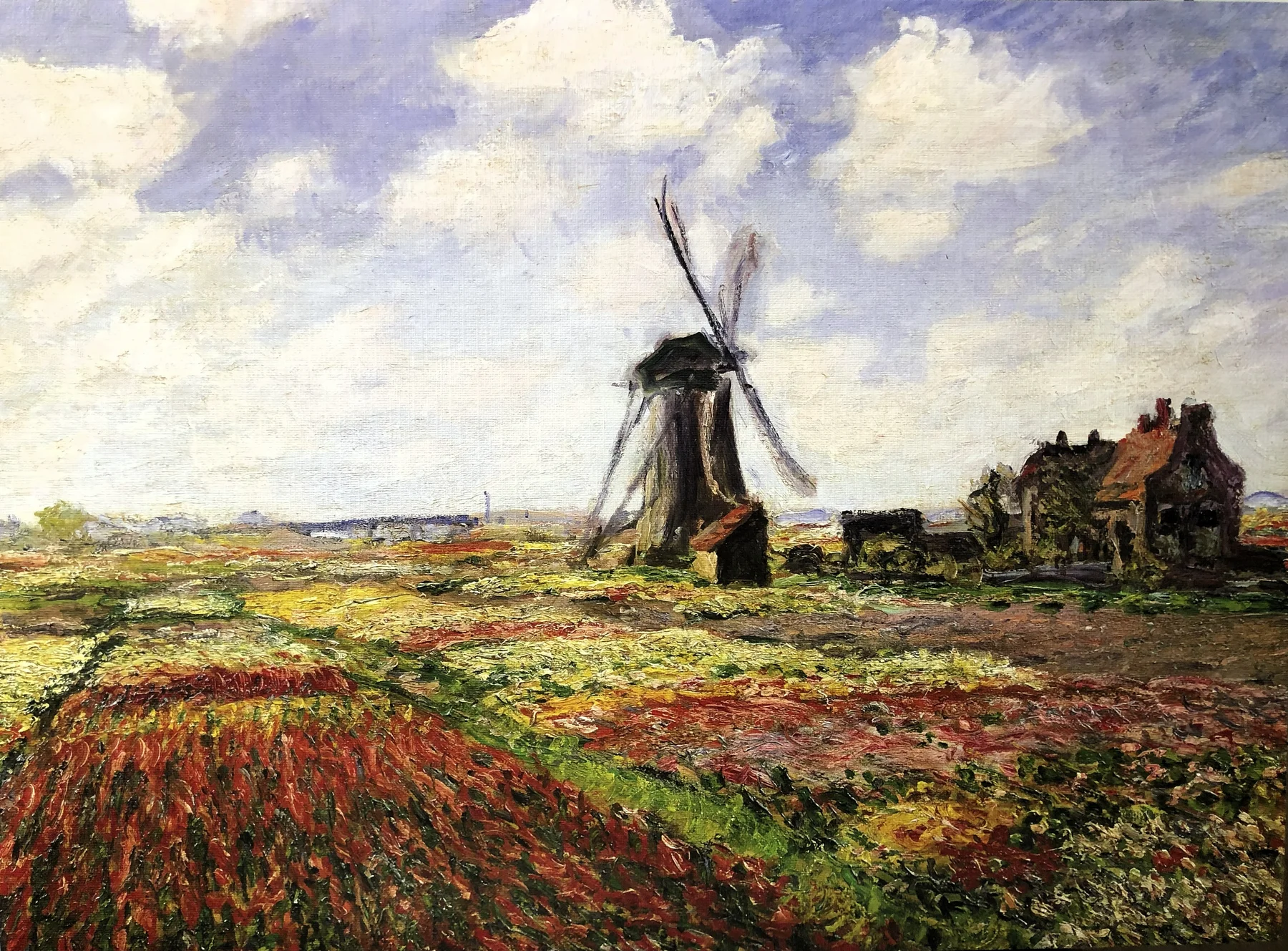 TULIP FIELDS WITH THE RIJNSBURG WINDMILL