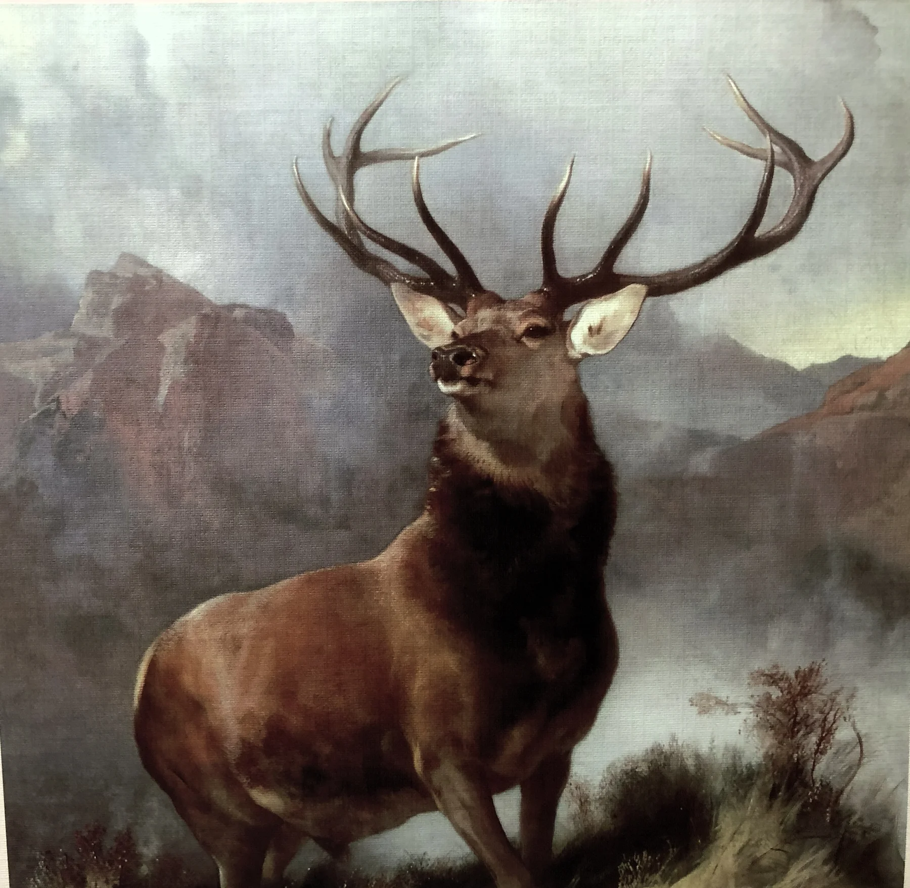THE MONARCH OF THE GLEN