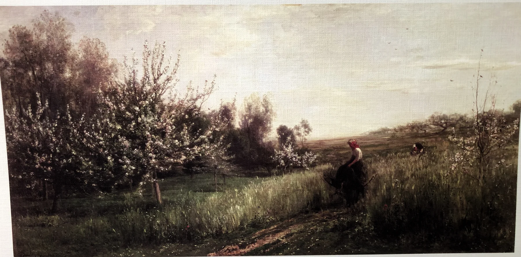 SPRING