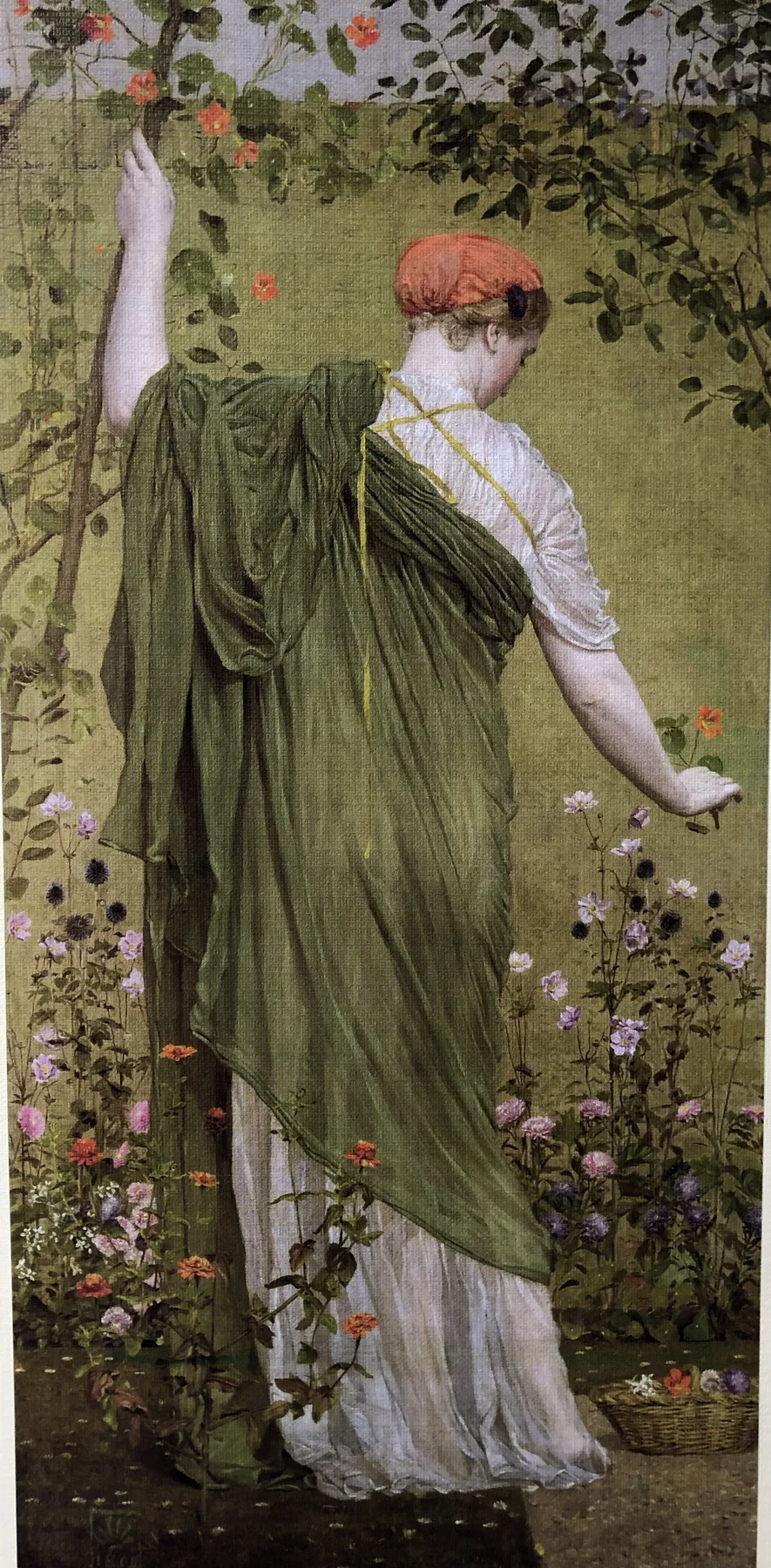 A GARDEN