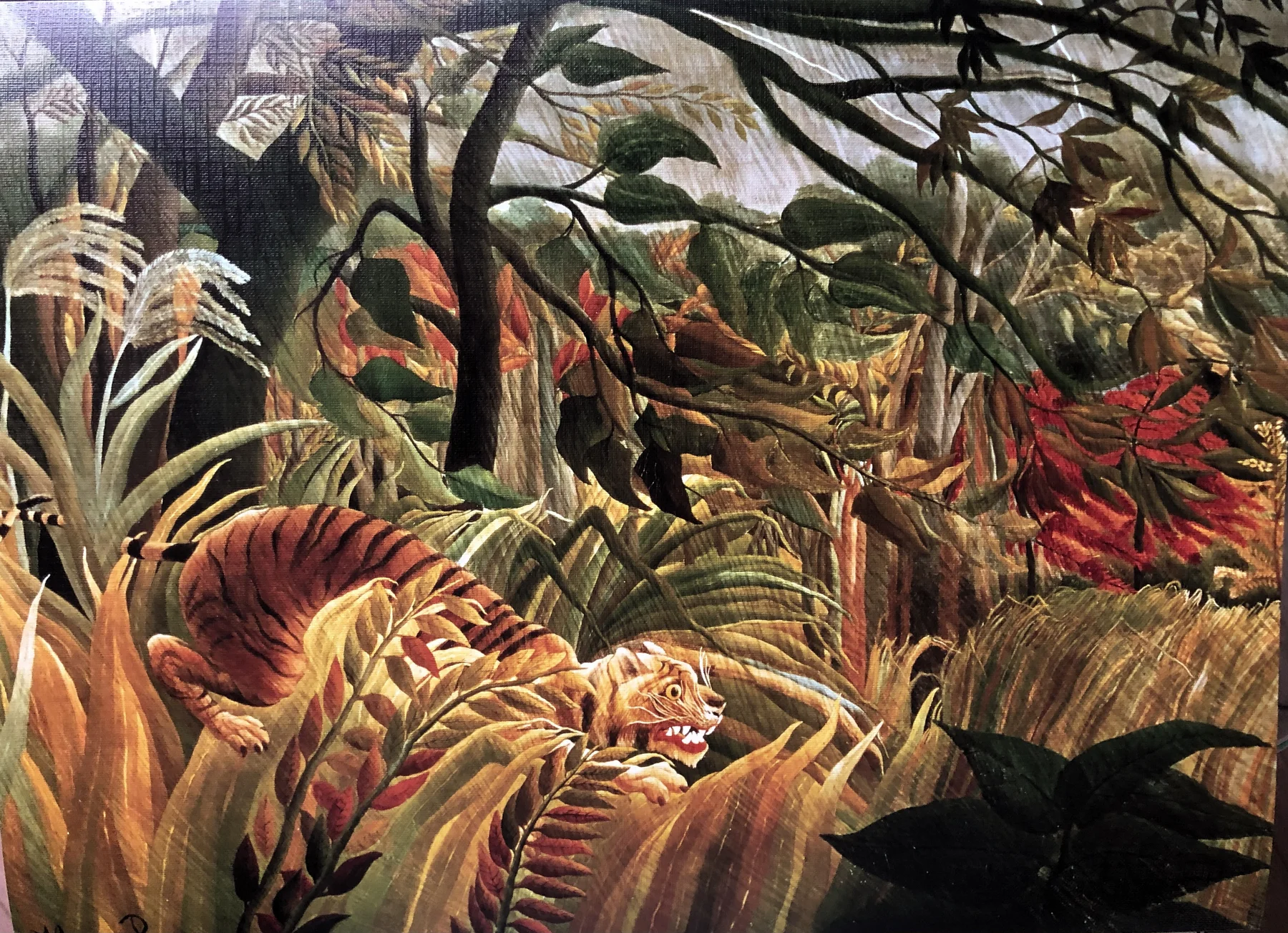 TIGER IN A TROPICAL STORM (SURPRISED!)