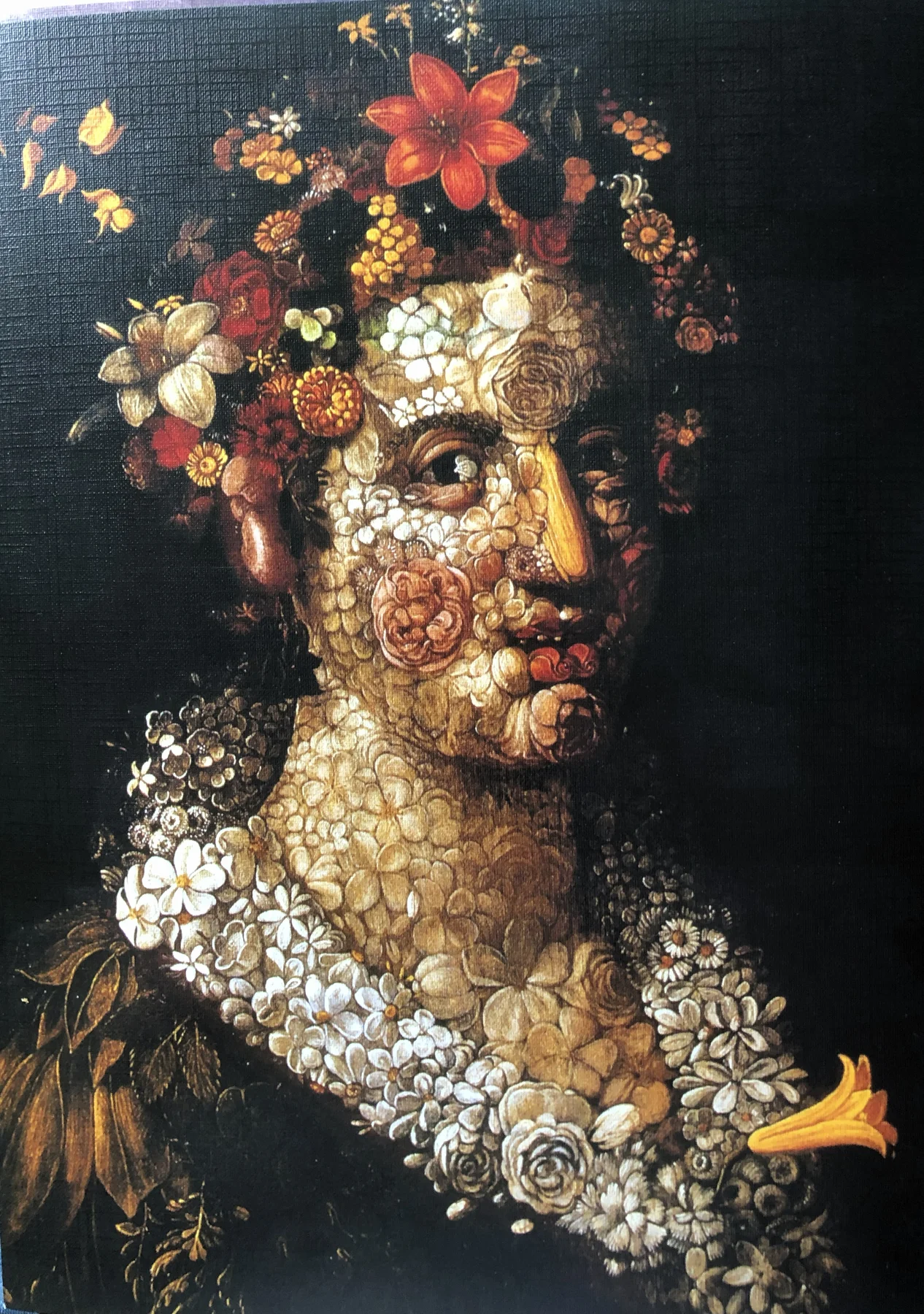 FLORA