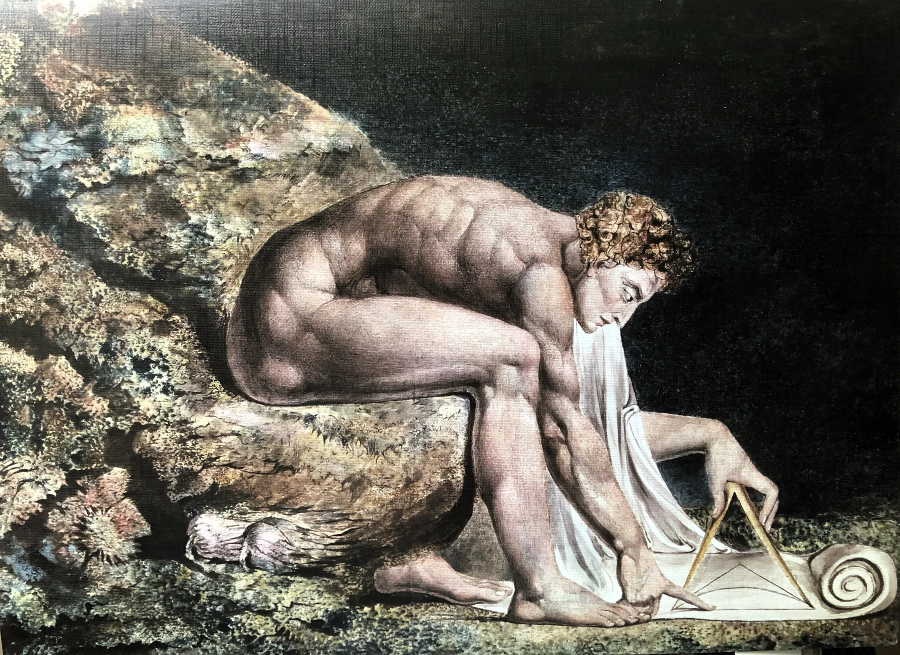 NEWTON