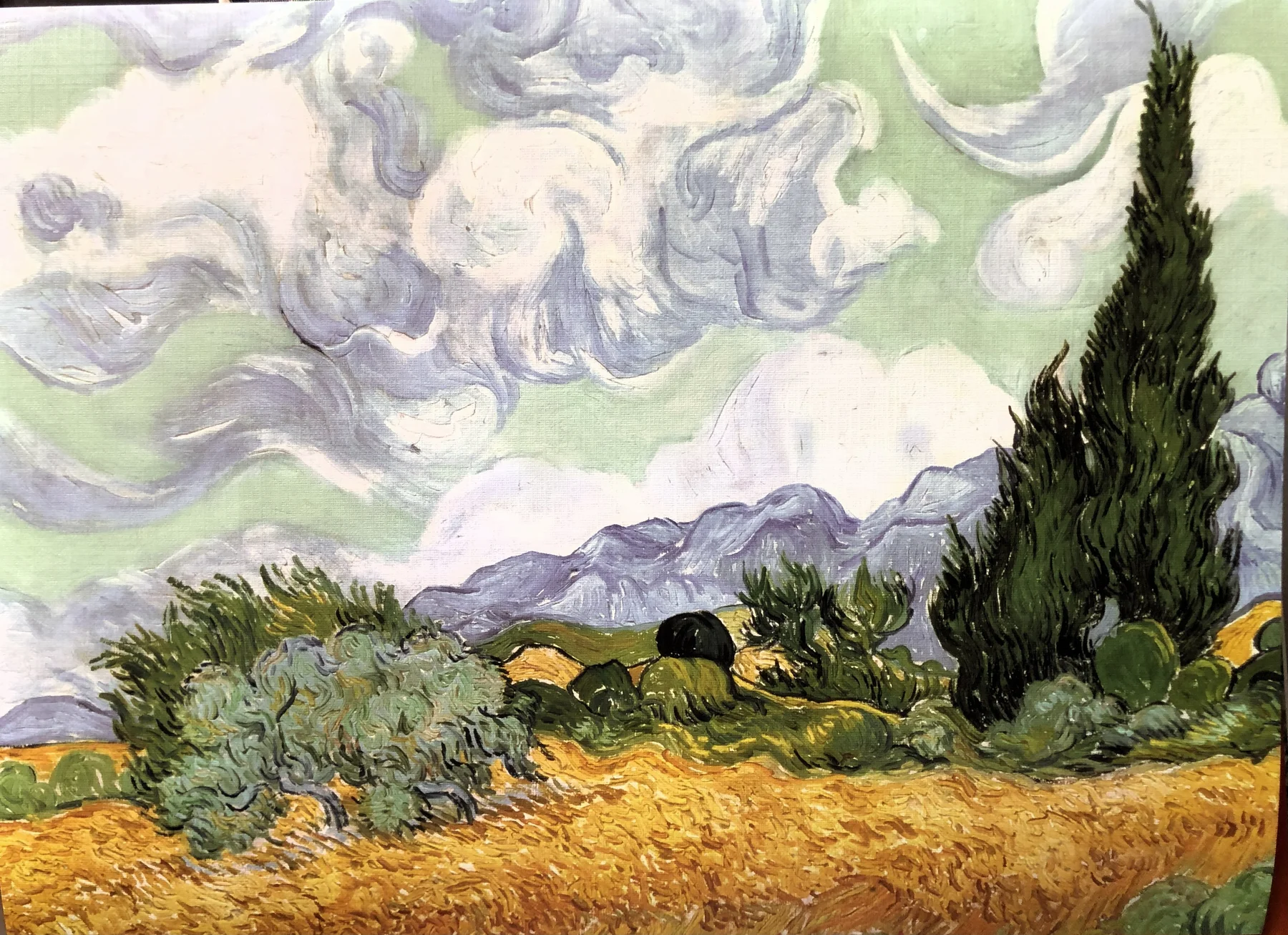 A WHEATFIELD, WITH CYPRESSES