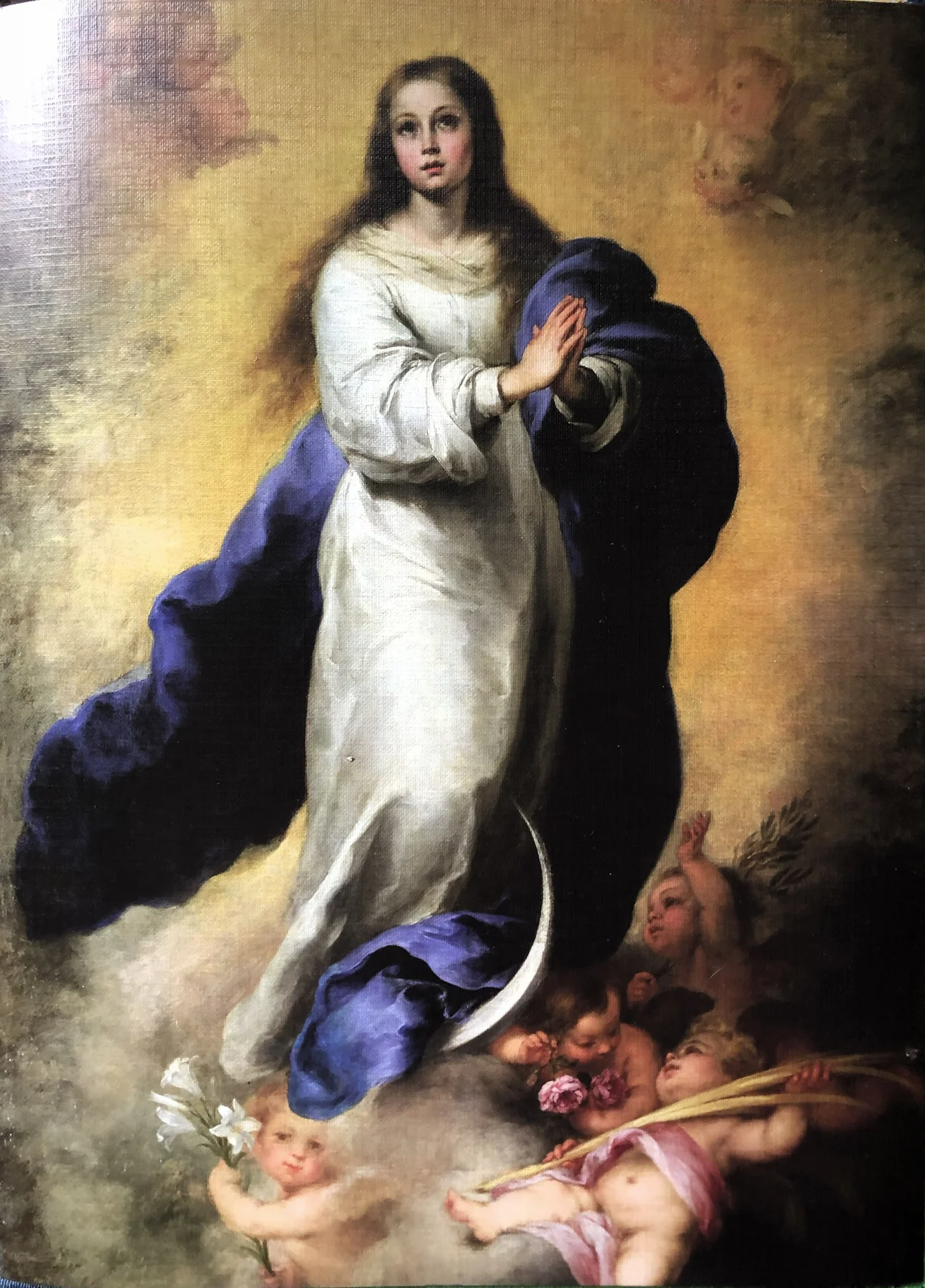 THE IMMACULATE CONCEPTION