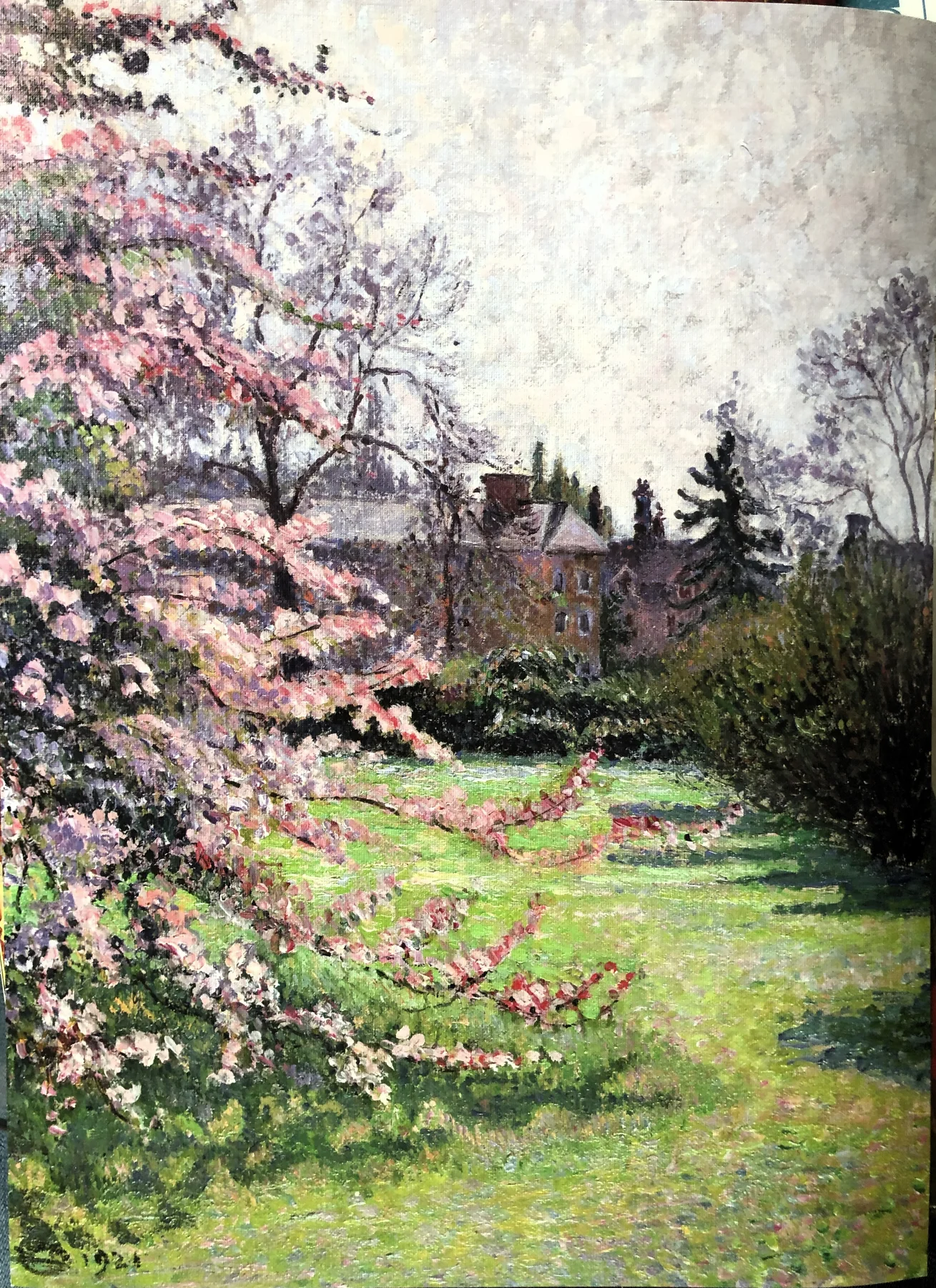 JAPANESE CRAB-APPLE BLOSSOM AT KEW