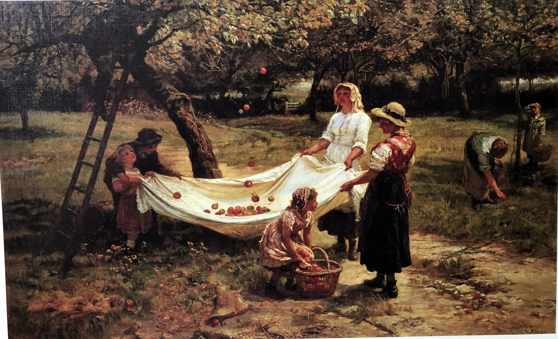 THE APPLE GATHERERS